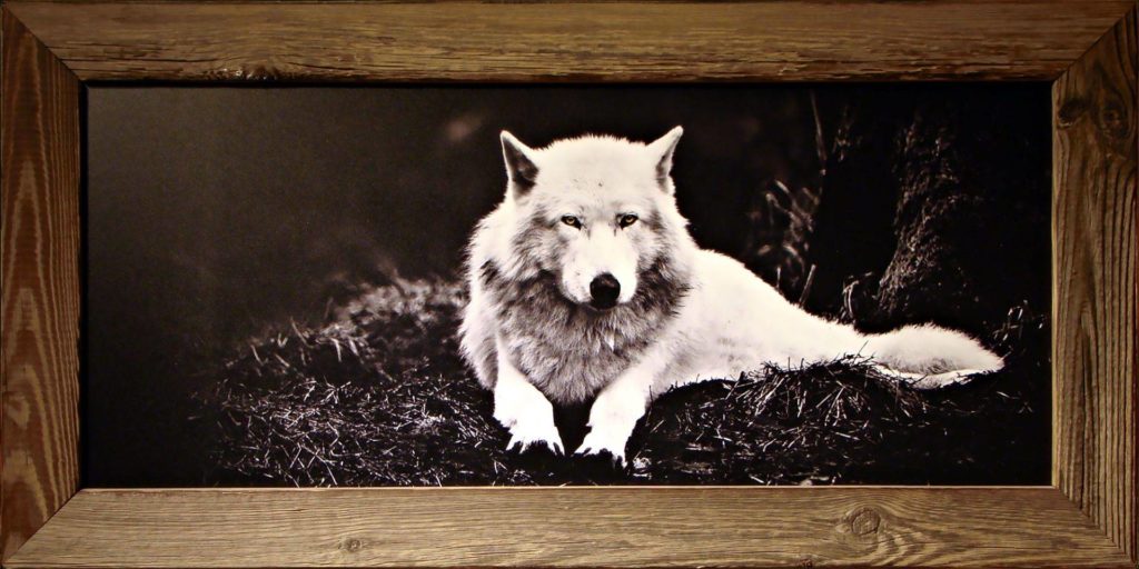 Tableau en Vieux Bois – Loup Couché – Noir & Blanc 100 x 50 cm Tableaux vieux bois meublespin.fr - vente de mobilier et de décoration de style montagne ou chalet- vente de meubles en pin et canapés convertibles - https://meublespin.fr