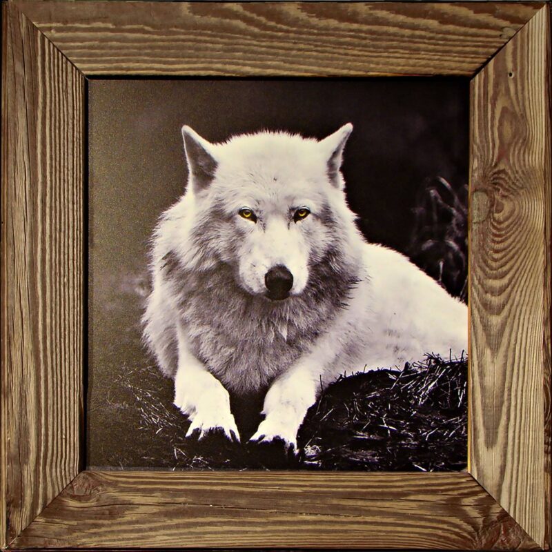 Tableau en Vieux Bois – Loup Couché – Noir & Blanc 50 x 50 cm Tableaux vieux bois meublespin.fr - mobilier et de décoration de style montagne ou chalet- meubles en pin, mobilier en bois massif de qualité, canapés convertibles - https://meublespin.fr
