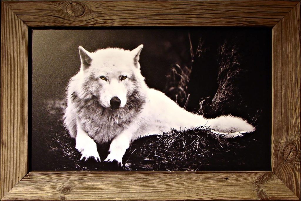 Tableau en Vieux Bois – Loup Couché – Noir & Blanc 75 x 50 cm Tableaux vieux bois meublespin.fr - vente de mobilier et de décoration de style montagne ou chalet- vente de meubles en pin et canapés convertibles - https://meublespin.fr