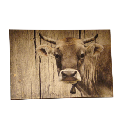 Tapis de Sol Tête de Vache Tapis meublespin.fr - mobilier et de décoration de style montagne ou chalet- meubles en pin, mobilier en bois massif de qualité, canapés convertibles - https://meublespin.fr