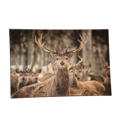 Tapis de Sol Cerf Tapis meublespin.fr - mobilier et de décoration de style montagne ou chalet- meubles en pin, mobilier en bois massif de qualité, canapés convertibles - https://meublespin.fr