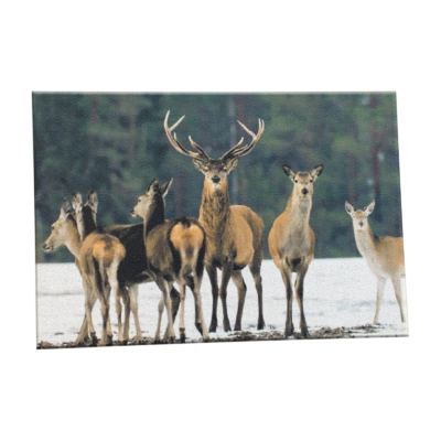 Tapis de Sol Cerfs Tapis meublespin.fr - mobilier et de décoration de style montagne ou chalet- meubles en pin, mobilier en bois massif de qualité, canapés convertibles - https://meublespin.fr