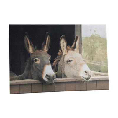 Tapis de Sol ânes Tapis meublespin.fr - mobilier et de décoration de style montagne ou chalet- meubles en pin, mobilier en bois massif de qualité, canapés convertibles - https://meublespin.fr