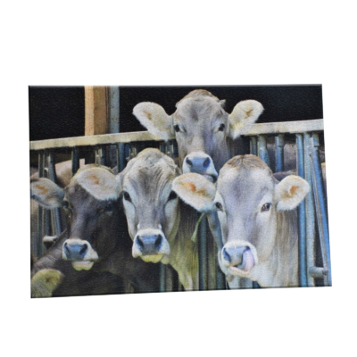 Tapis de Sol  Vaches Tapis meublespin.fr - mobilier et de décoration de style montagne ou chalet- meubles en pin, mobilier en bois massif de qualité, canapés convertibles - https://meublespin.fr