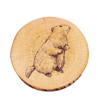 Galette Gruffy ronde Ø 38 cm Cerf – Marmotte Galettes de Chaises meublespin.fr - mobilier et de décoration de style montagne ou chalet- meubles en pin, mobilier en bois massif de qualité, canapés convertibles - https://meublespin.fr