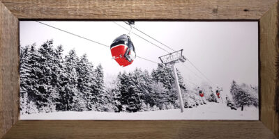 Tableau en Vieux Bois – Oeuf Rouge – 100 x 50 cm Tableaux vieux bois meublespin.fr - mobilier et de décoration de style montagne ou chalet- meubles en pin, mobilier en bois massif de qualité, canapés convertibles - https://meublespin.fr