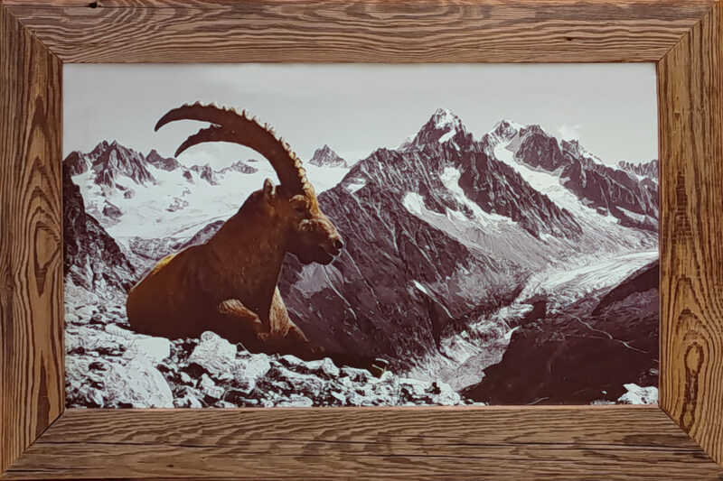 Tableau en Vieux Bois – Bouquetin Brun 75 x 50 cm Tableaux vieux bois meublespin.fr - mobilier et de décoration de style montagne ou chalet- meubles en pin, mobilier en bois massif de qualité, canapés convertibles - https://meublespin.fr