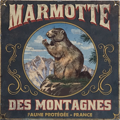 Plaque métal – Marmotte des montagnes – 29 x 29 cm Cadres et déco meublespin.fr - mobilier et de décoration de style montagne ou chalet- meubles en pin, mobilier en bois massif de qualité, canapés convertibles - https://meublespin.fr