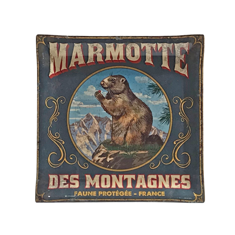 Vide Poche Métal – Marmotte des Montagnes – 14 x 14 cm Objets à poser meublespin.fr - mobilier et de décoration de style montagne ou chalet- meubles en pin, mobilier en bois massif de qualité, canapés convertibles - https://meublespin.fr