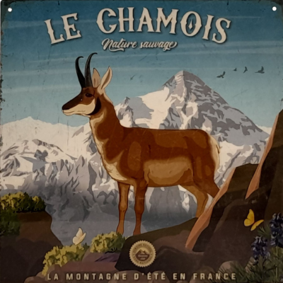 Plaque métal – Nature Sauvage – Le Chamois – 29 x 29 cm Cadres et déco meublespin.fr - mobilier et de décoration de style montagne ou chalet- meubles en pin, mobilier en bois massif de qualité, canapés convertibles - https://meublespin.fr