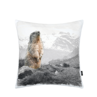 Coussin 50×50 – Marmotta – motif marmotte Plaids et coussins meublespin.fr - mobilier et de décoration de style montagne ou chalet- meubles en pin, mobilier en bois massif de qualité, canapés convertibles - https://meublespin.fr