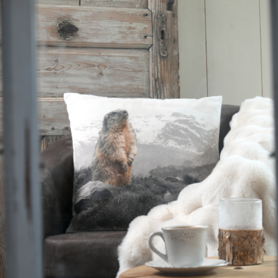 Coussin 50×50 – Marmotta – motif marmotte Plaids et coussins meublespin.fr - mobilier et de décoration de style montagne ou chalet- meubles en pin, mobilier en bois massif de qualité, canapés convertibles - https://meublespin.fr