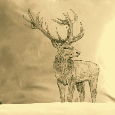 Housse de Couette et deux taies 100% Coton – Bauges rouge Les Housses de Couettes meublespin.fr - mobilier et de décoration de style montagne ou chalet- meubles en pin, mobilier en bois massif de qualité, canapés convertibles - https://meublespin.fr