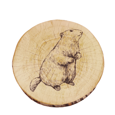 Galette Gruffy ronde Ø 38 cm Cerf – Marmotte Galettes de Chaises meublespin.fr - mobilier et de décoration de style montagne ou chalet- meubles en pin, mobilier en bois massif de qualité, canapés convertibles - https://meublespin.fr